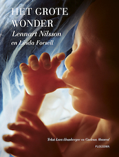 Het grote wonder - Lars Hamberger, Gudrun Abascal (ISBN 9789021678689)