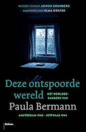 Een ontspoorde wereld - Paula Bermann (ISBN 9789460038792)
