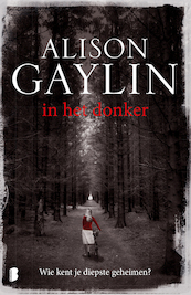 in het donker - Alison Gaylin (ISBN 9789402302264)