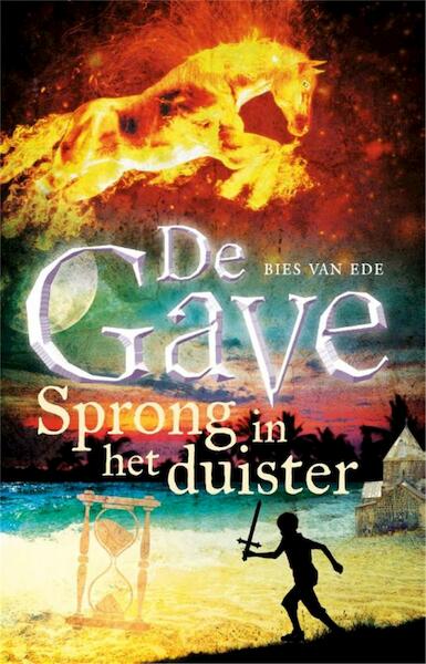 Sprong in het duister - Bies van Ede (ISBN 9789048821761)