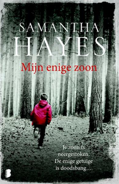 Mijn enige zoon - Samantha Hayes (ISBN 9789460232947)