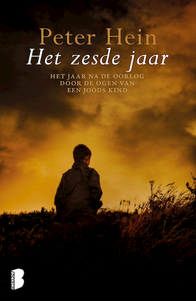 Het zesde jaar - Peter Hein (ISBN 9789022571644)