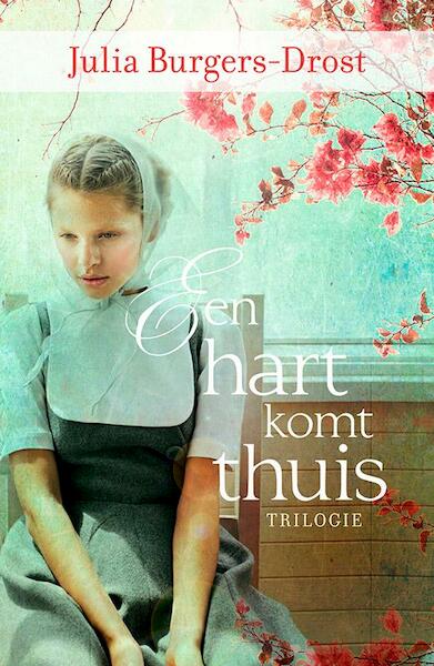 Een hart komt thuis - Julia Burgers-Drost (ISBN 9789401904834)