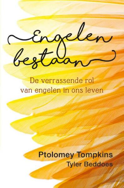 Engelen bestaan - Ptolomey Tompkins, Tyler Beddoes (ISBN 9789020212778)