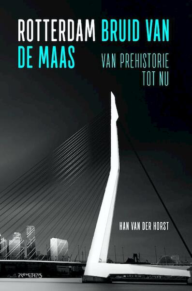 De kleine geschiedenis van Rotterdam - Han van der Horst (ISBN 9789035143296)