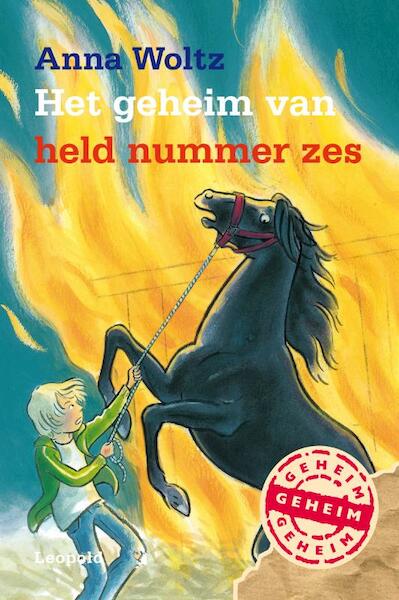 Het geheim van held nummer zes - Anna Woltz (ISBN 9789025858735)