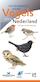 Herkenningskaart vogels van Nederland