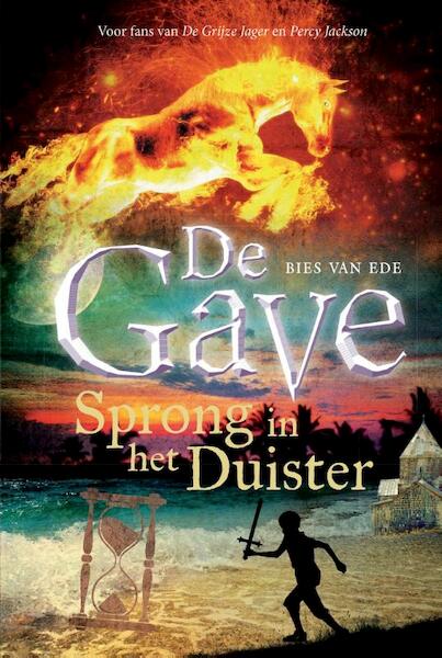 Sprong in het duister - Bies van Ede (ISBN 9789048821754)