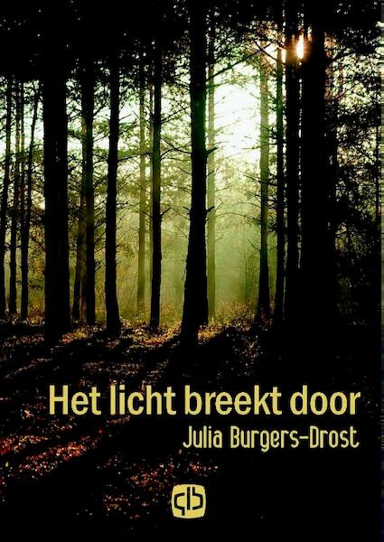 Het licht breekt door - Julia Burgers-Drost (ISBN 9789036429566)