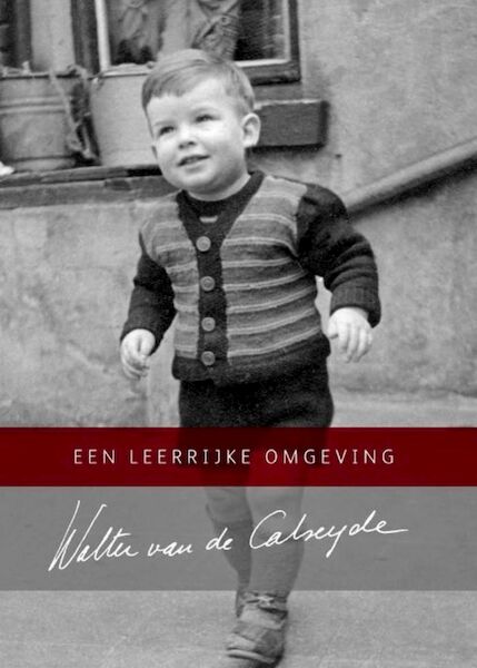 Een leerrijke omgeving - Walter van de Calseyde (ISBN 9789462175808)