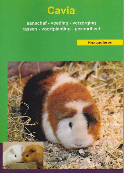 De cavia - (ISBN 9789058210098)