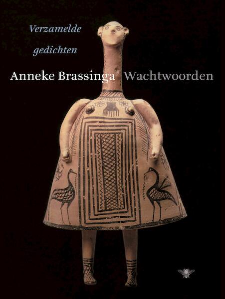 Wachtwoorden - Anneke Brassinga (ISBN 9789023493808)