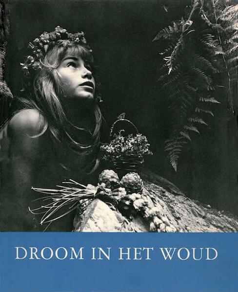 Droom in het woud - Thomas Kando (ISBN 9789081892827)