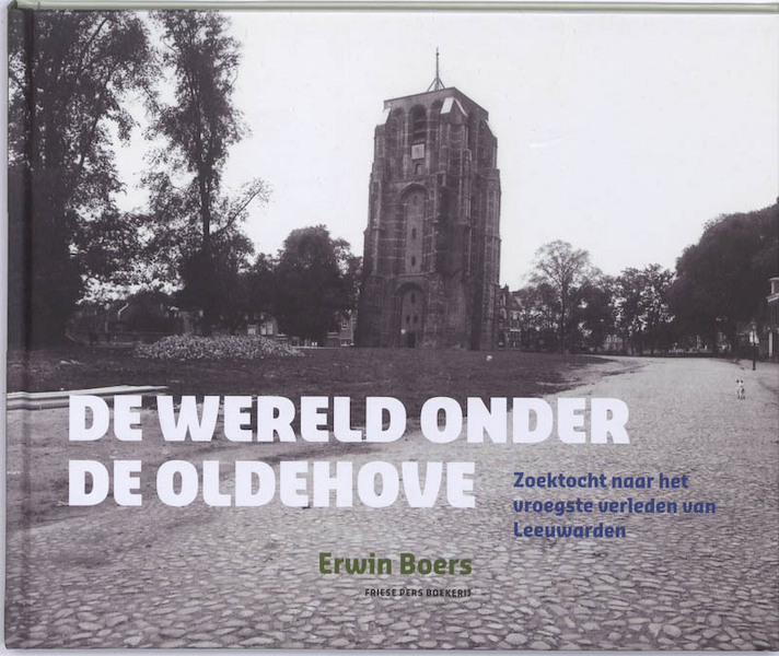 De wereld onder de Oldehove - Erwin Boers (ISBN 9789033008320)